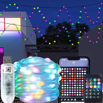 LED Eilutės Žibintai RGBIC USB Telefono App Kontrolės Pasakų Žibintai Girliandą Naujųjų Metų Kalėdų Eglutė Namų Sode Vestuves Dekoras